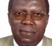  Prof. George Okoye Krhoda - Hydrology