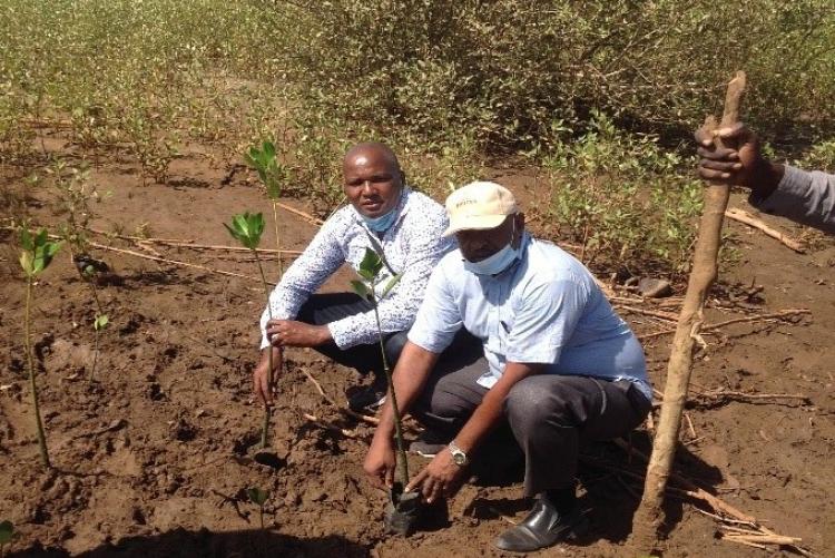 Chairman of Department of Geography at wetlands day planting a tree