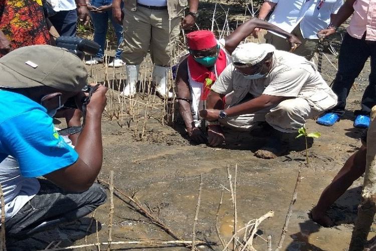 Tree planting at wetlands day by CS and DoGES team participating