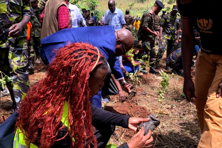 UNGSS mazingira day 2024 tree planting